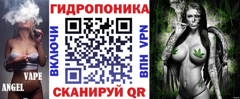 закладки  Дубовка  Шишки марихуана план 